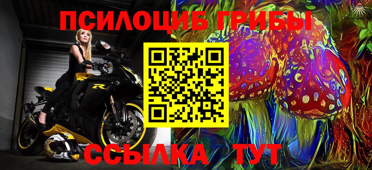 Тольятти  Галлюциногенные грибы прущие грибы  продажа наркотиков  Вход с VPN 